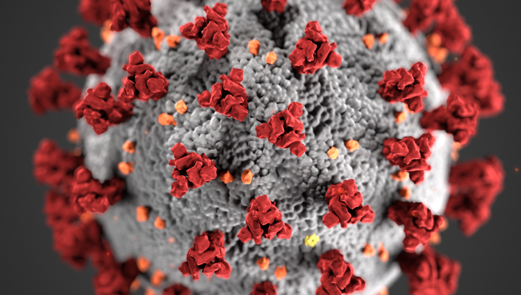 covid 19 virus